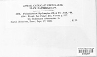 Image Associated With the Occurence
